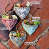 Planter Une Jardinière de Poche en Forme de Cœur Succulent