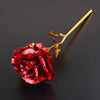 Rose éternelle - Dorée à l'or 24 carats